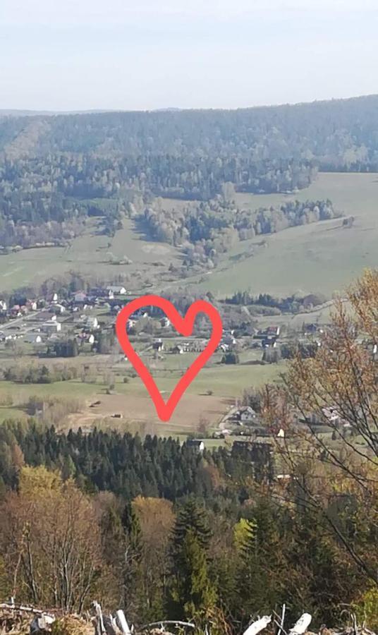Domki Brzozowka W Bieszczadach Ustrzyki Dolne Dış mekan fotoğraf