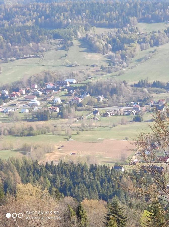 Domki Brzozowka W Bieszczadach Ustrzyki Dolne Dış mekan fotoğraf