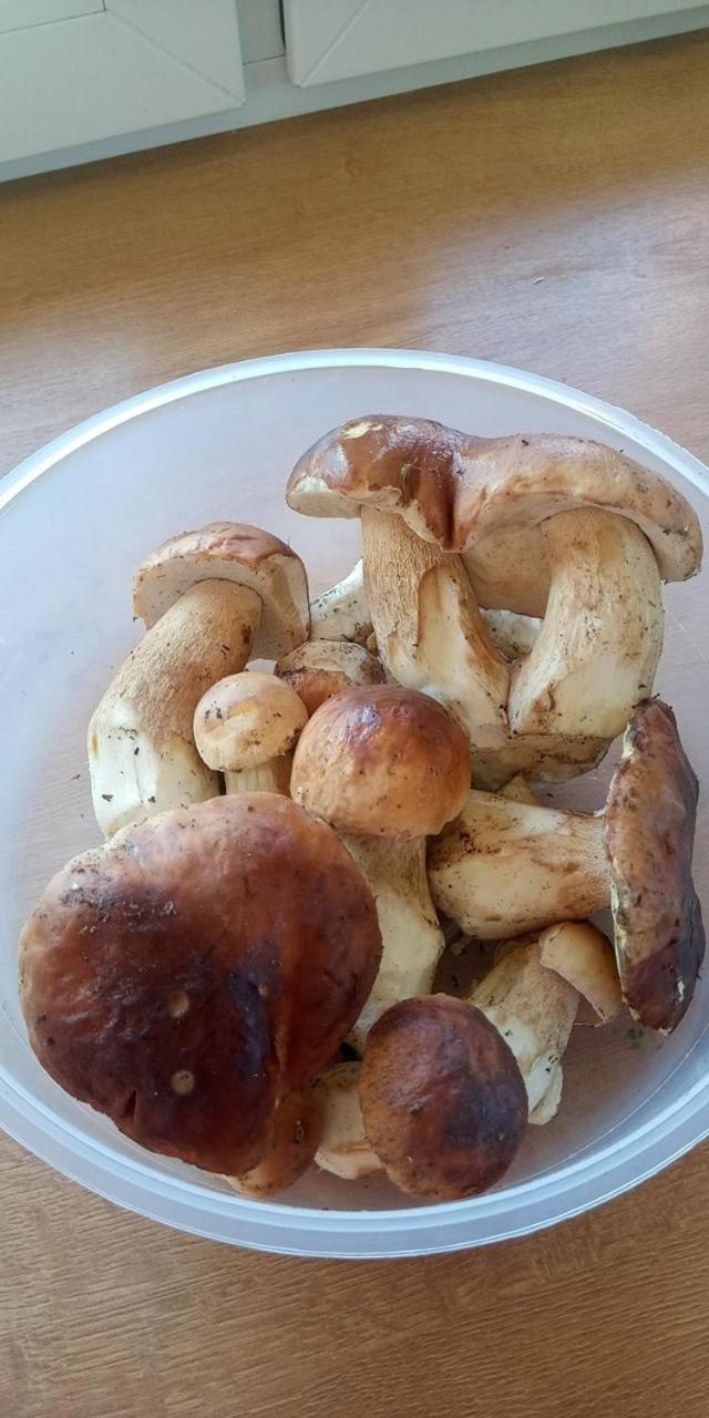 Domki Brzozowka W Bieszczadach Ustrzyki Dolne Dış mekan fotoğraf