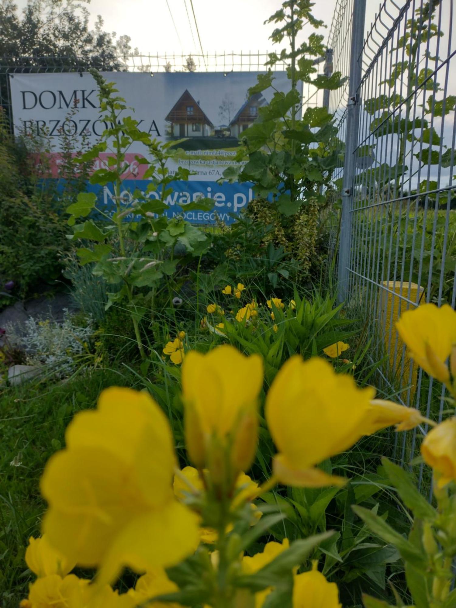 Domki Brzozowka W Bieszczadach Ustrzyki Dolne Dış mekan fotoğraf
